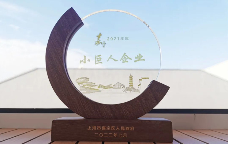 喜報|汩鴻環保獲評嘉定區“小巨人企業”