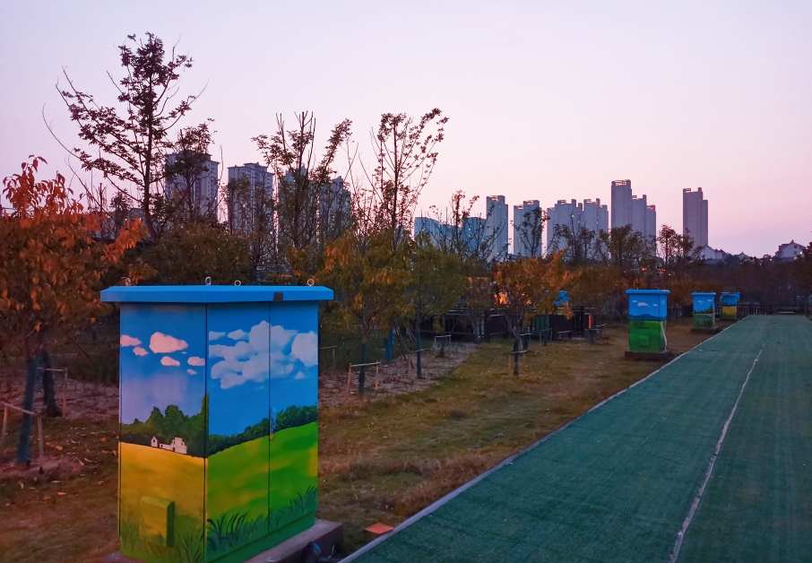 合肥南淝河初期雨水截流調蓄工程