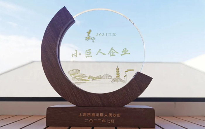喜報|汩鴻環(huán)保獲評嘉定區(qū)“小巨人企業(yè)”(圖1)